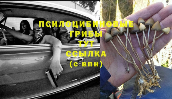прущий лед Белокуриха