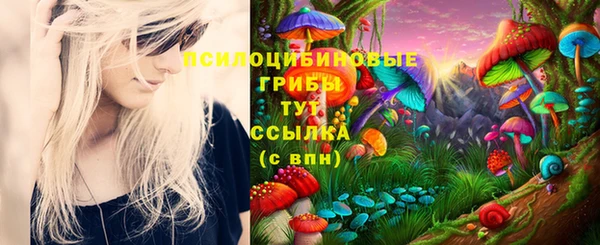 хмурый Белоозёрский