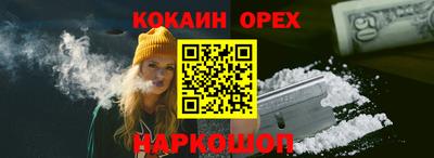 шишки Будённовск