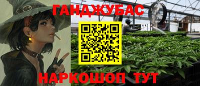 шишки Будённовск
