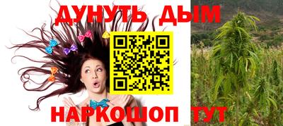 шишки Будённовск