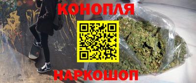шишки Будённовск