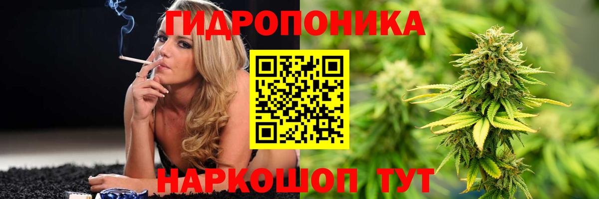 Конопля тримм  Каннабис гибрид  Гай 